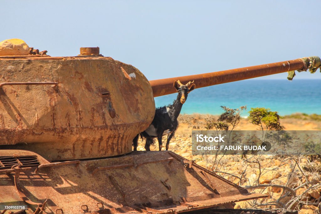 A LAS PUERTAS DE YEMEN